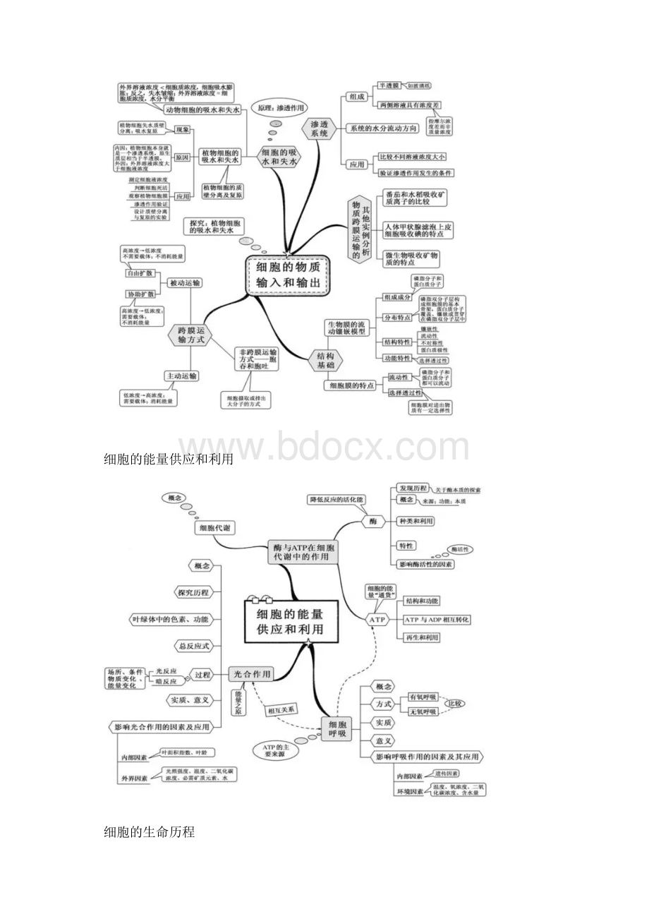 高中生物思维导图精编版.docx_第3页