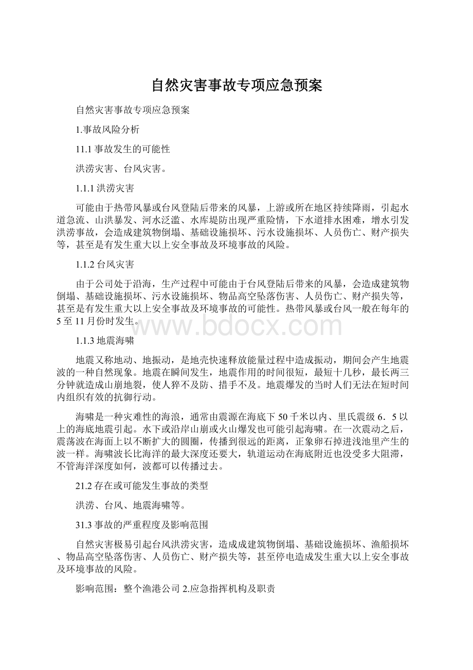 自然灾害事故专项应急预案Word文档格式.docx