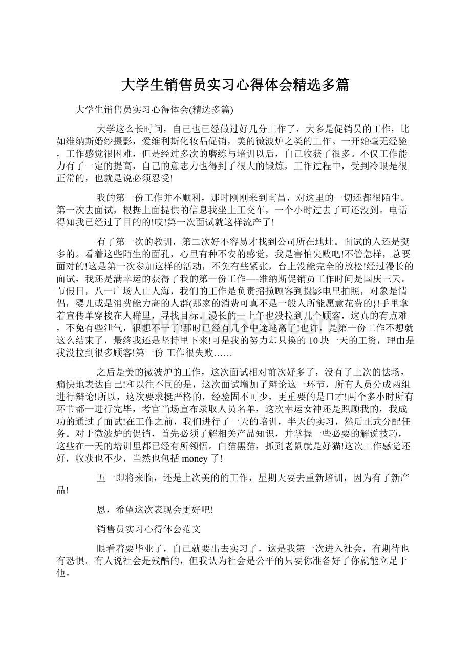 大学生销售员实习心得体会精选多篇.docx