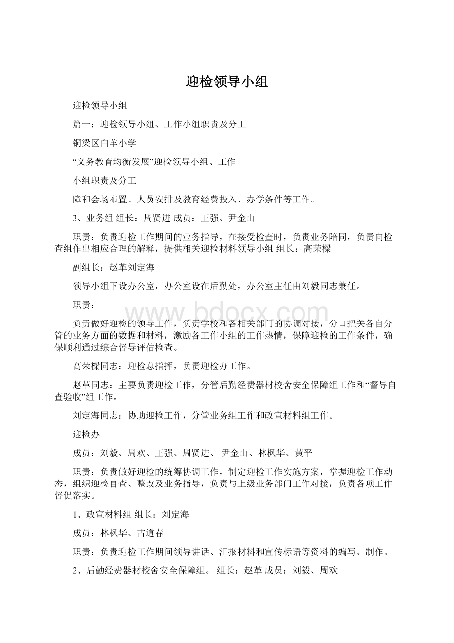 迎检领导小组文档格式.docx_第1页