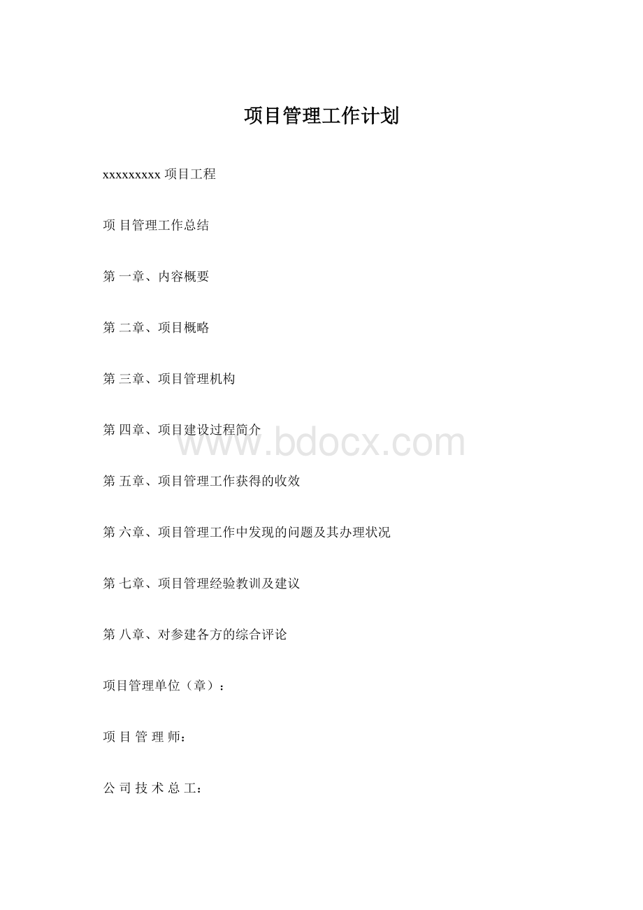 项目管理工作计划.docx