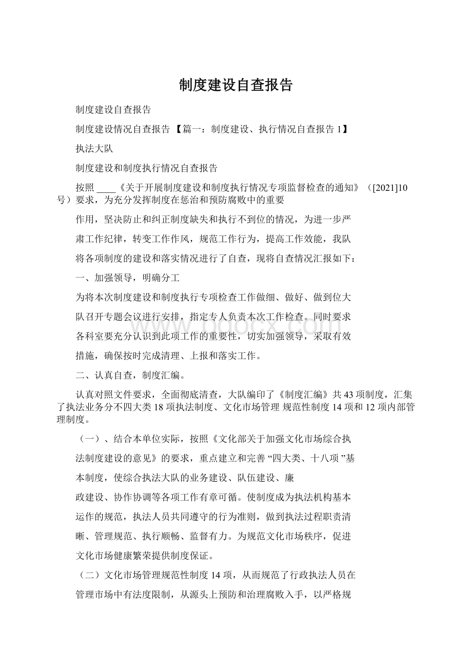 制度建设自查报告Word文档格式.docx