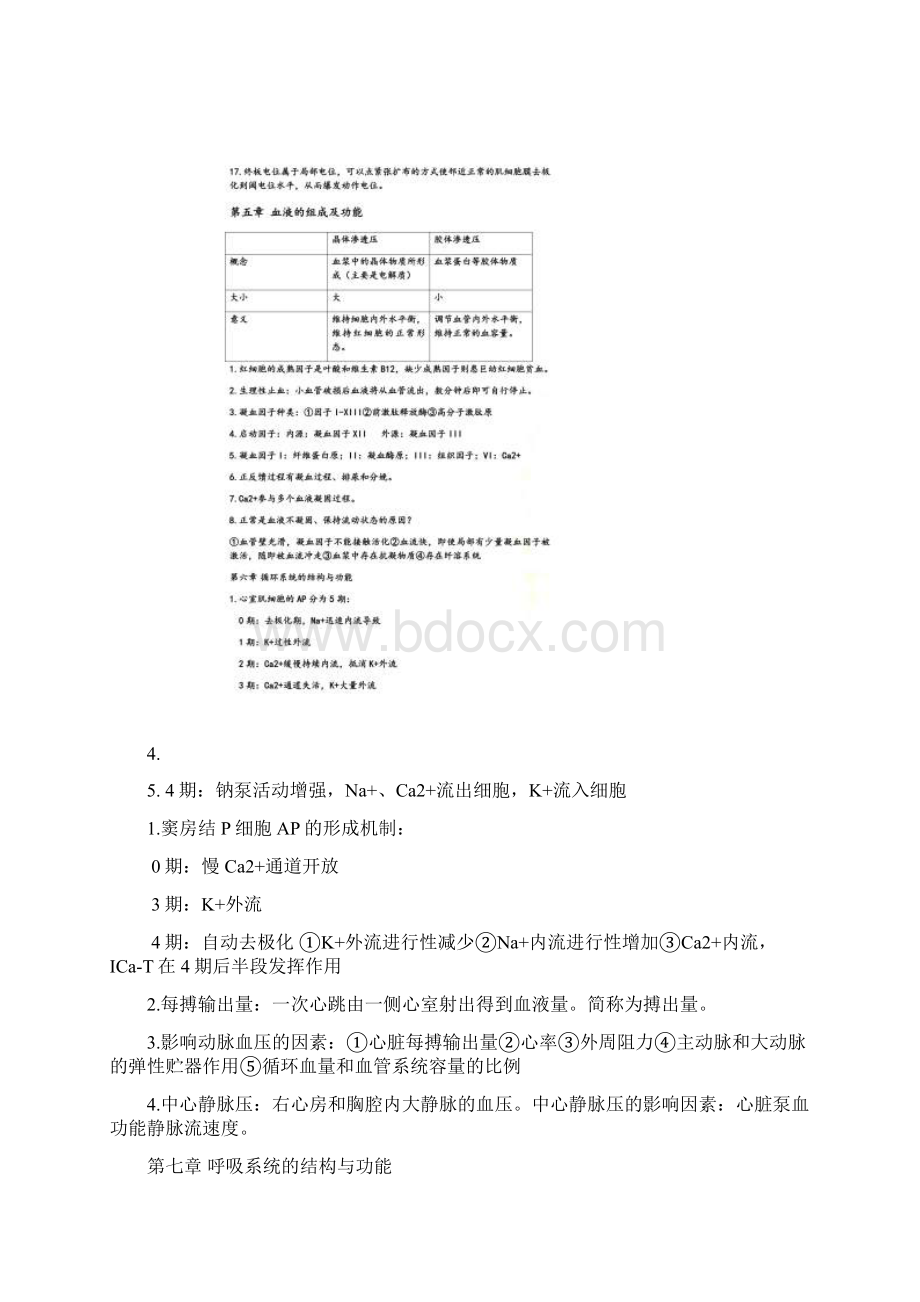 生理学常考重点章节知识点整理Word格式.docx_第3页