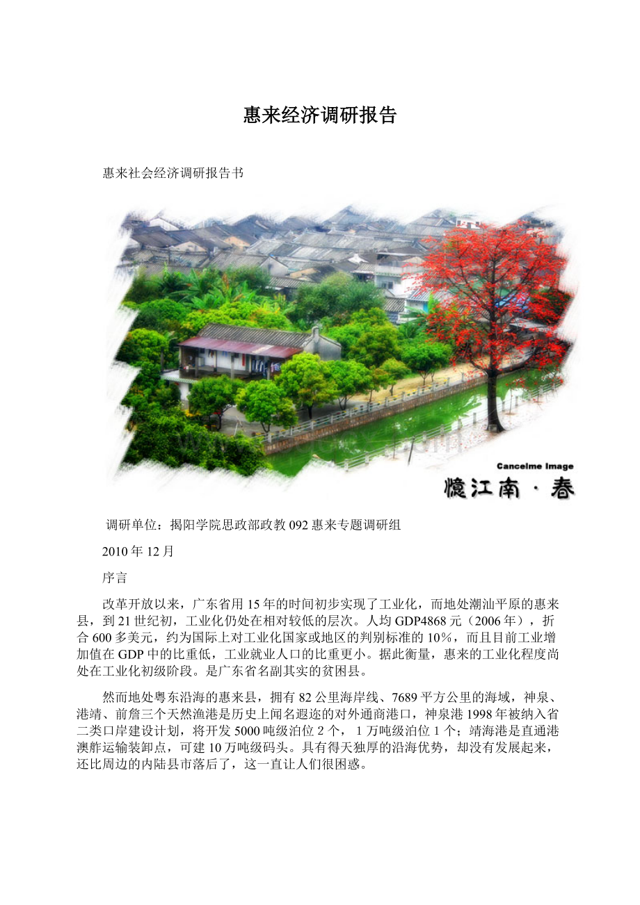 惠来经济调研报告文档格式.docx