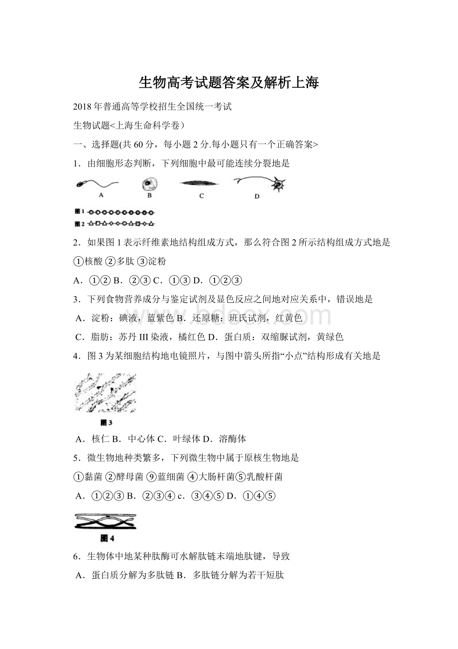 生物高考试题答案及解析上海Word文档下载推荐.docx