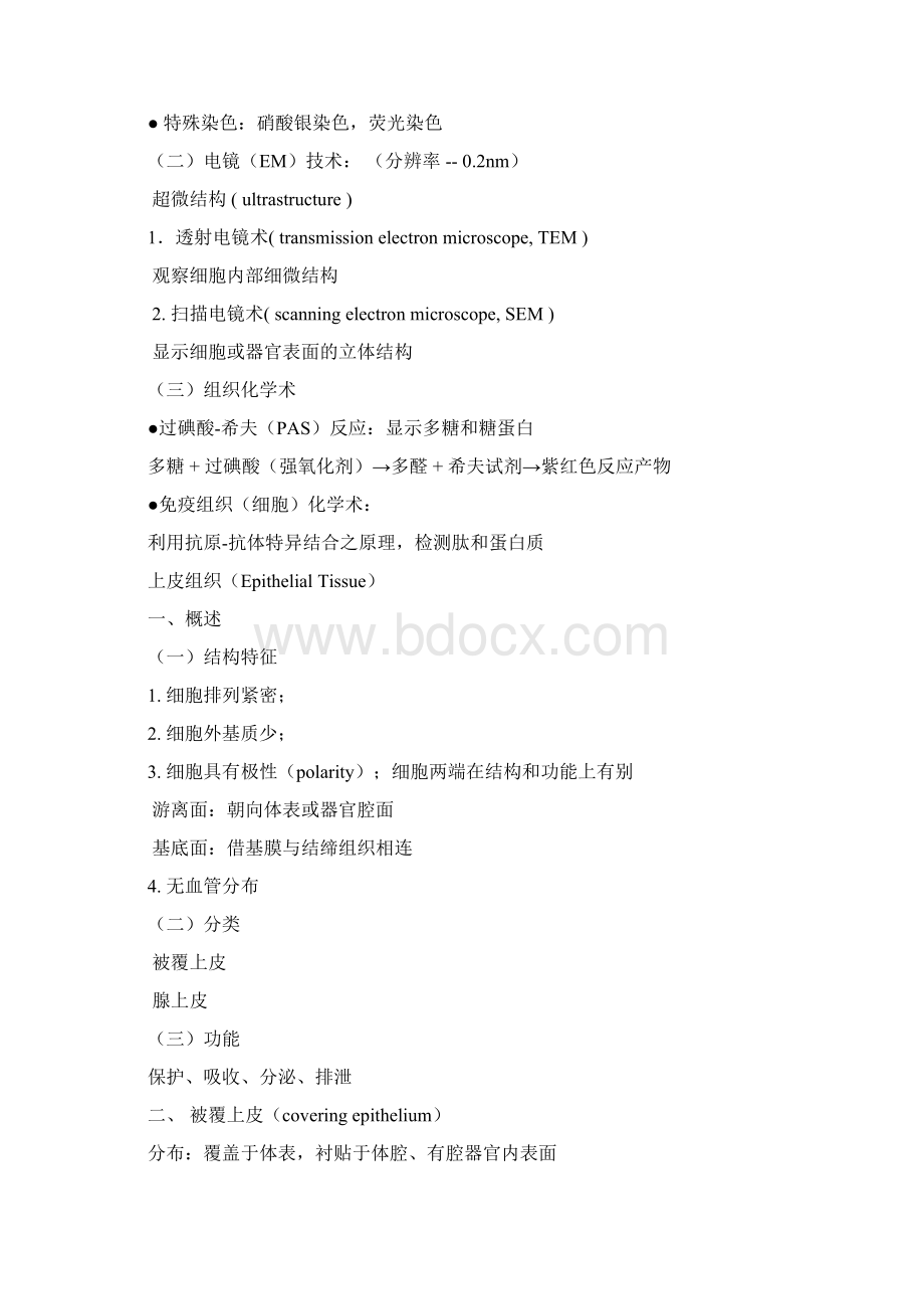 组胚重点.docx_第2页