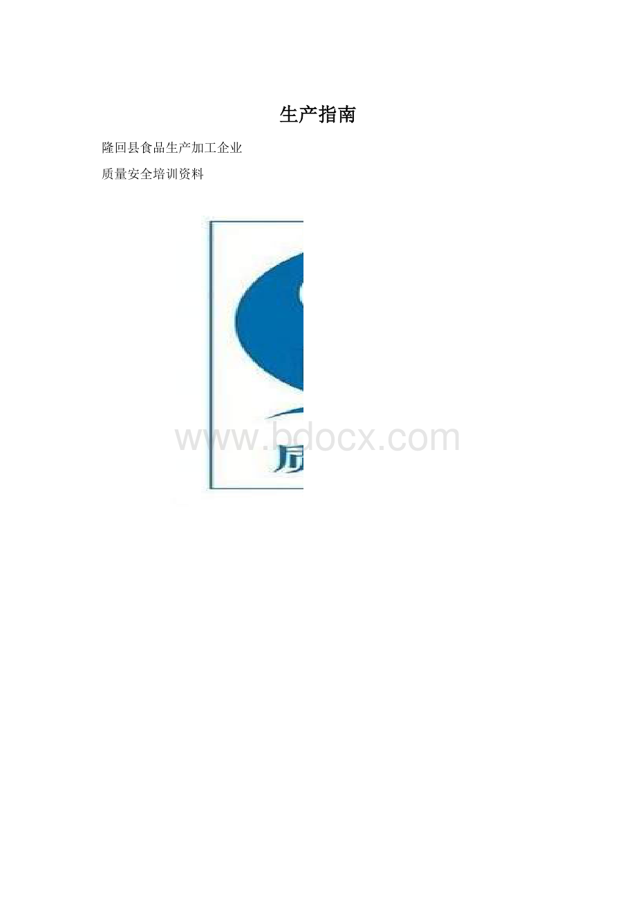 生产指南Word格式文档下载.docx