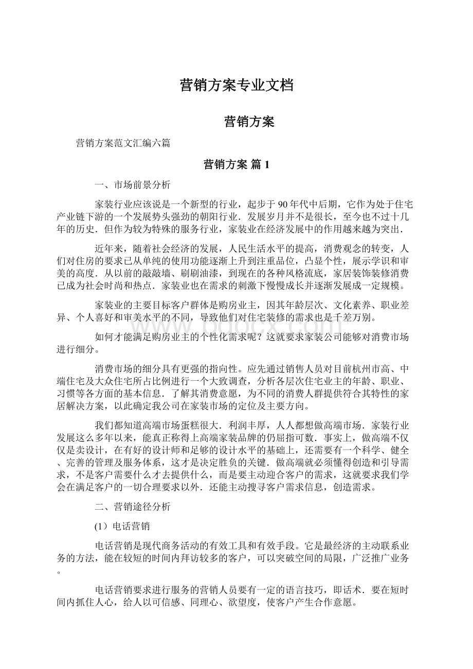 营销方案专业文档文档格式.docx