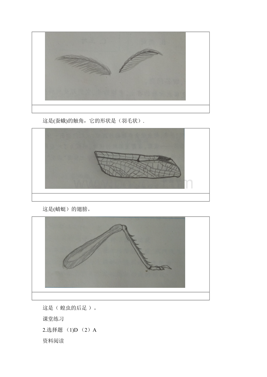 最新教科版科学六年级下册作业本参考答案整理.docx_第3页