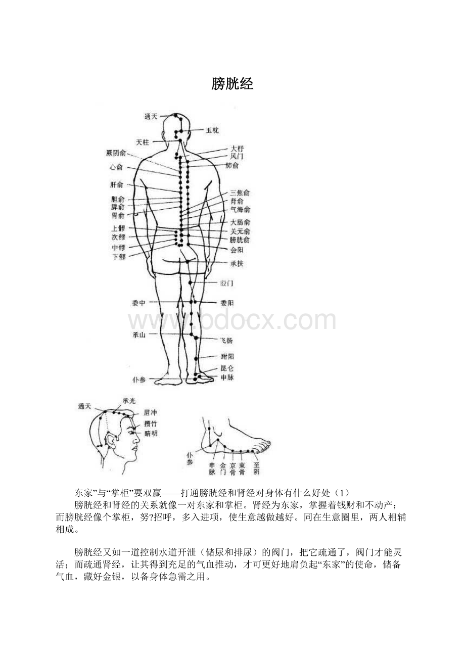 膀胱经.docx