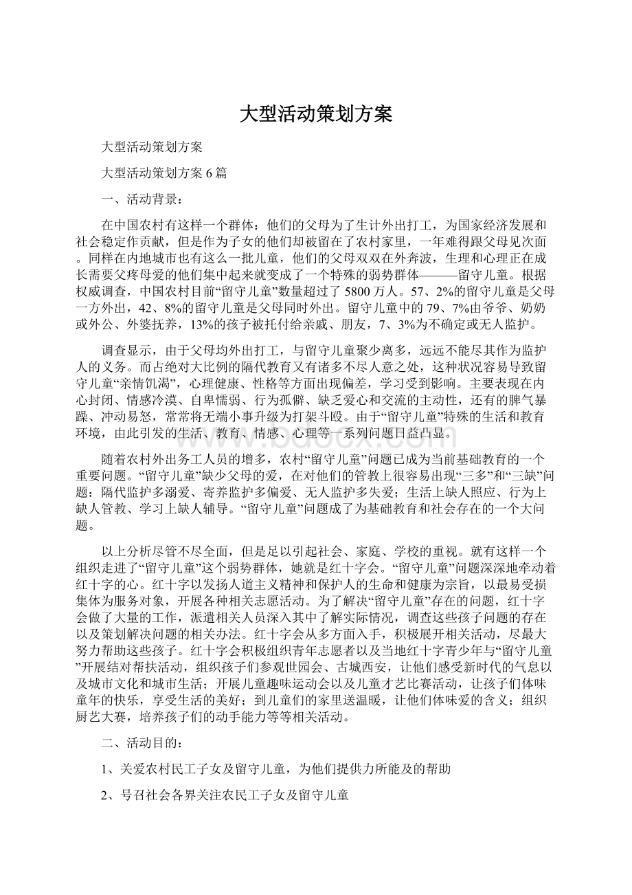 大型活动策划方案.docx_第1页