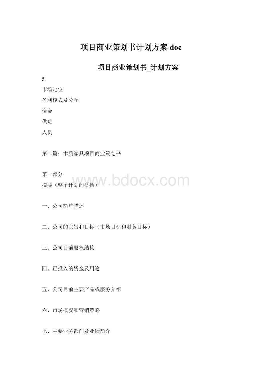 项目商业策划书计划方案doc文档格式.docx