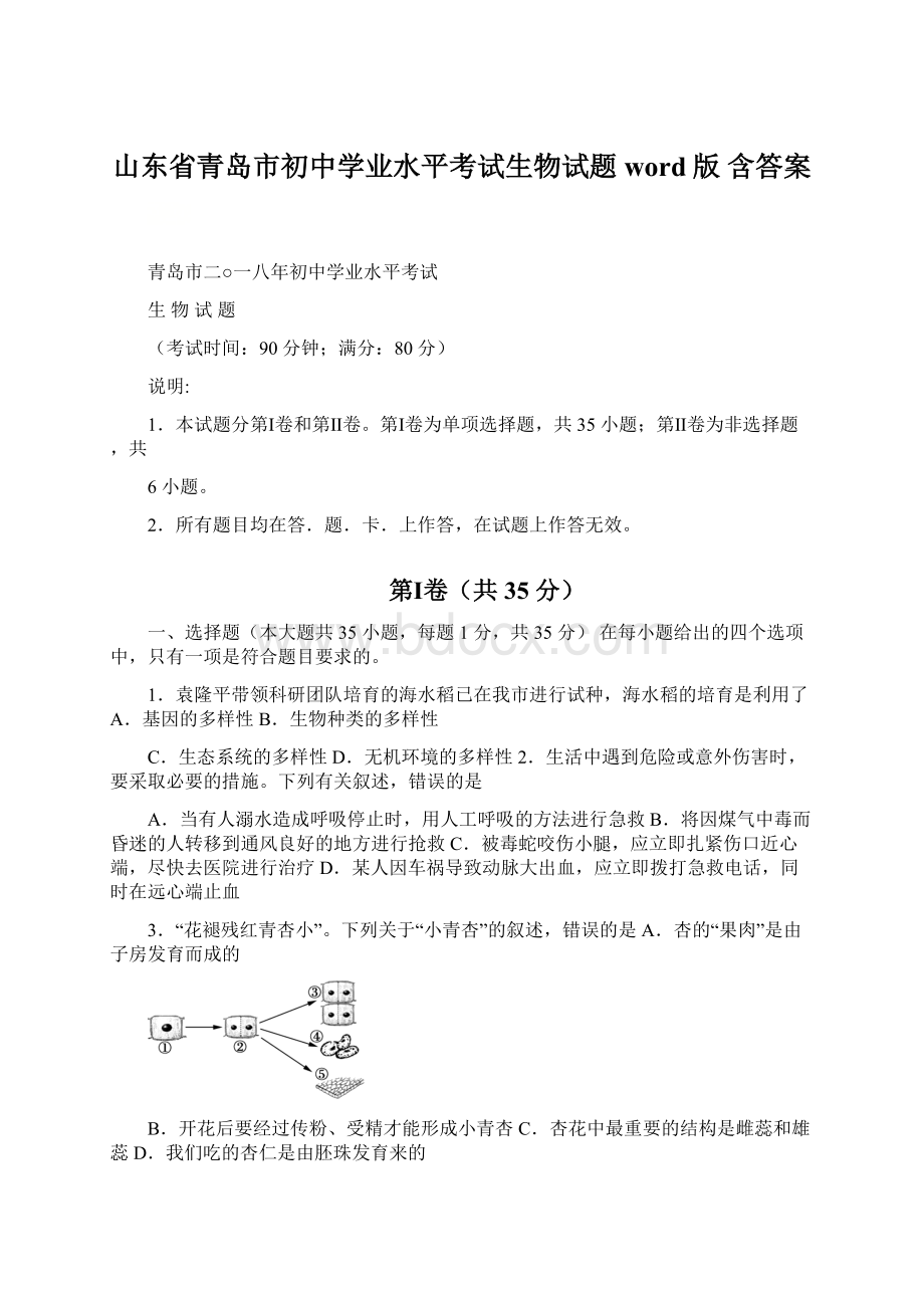 山东省青岛市初中学业水平考试生物试题word版 含答案文档格式.docx