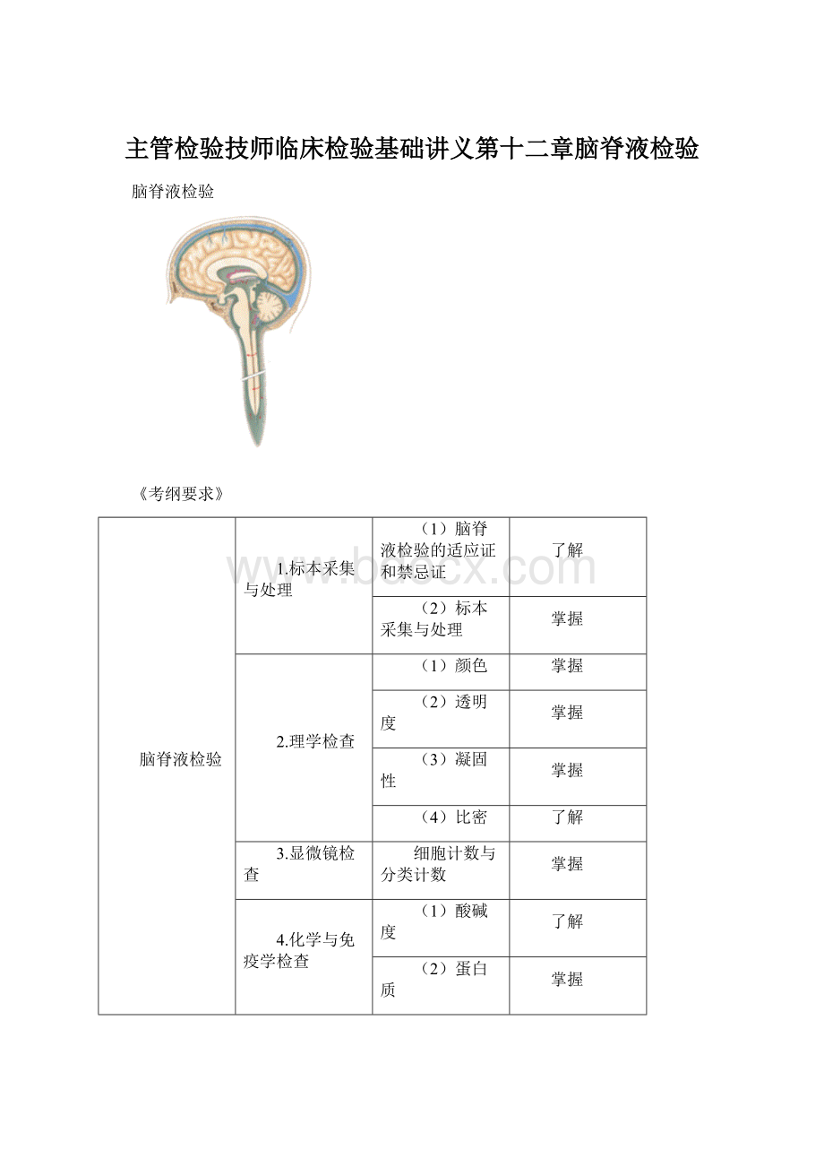 主管检验技师临床检验基础讲义第十二章脑脊液检验.docx_第1页