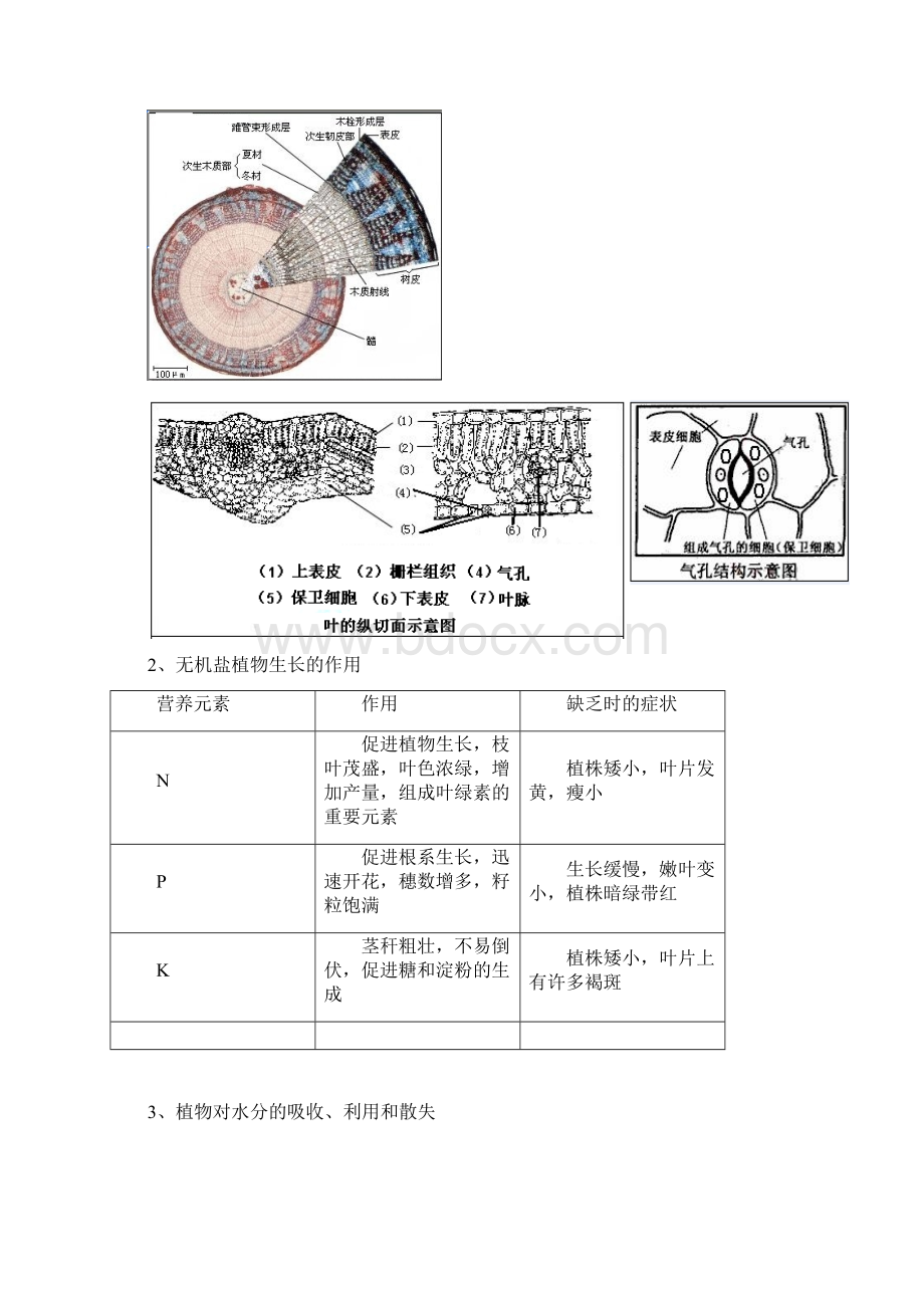 最新华师大初中生物复习要点.docx_第2页