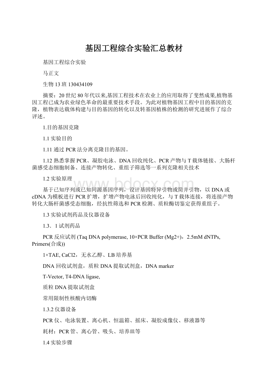 基因工程综合实验汇总教材.docx_第1页