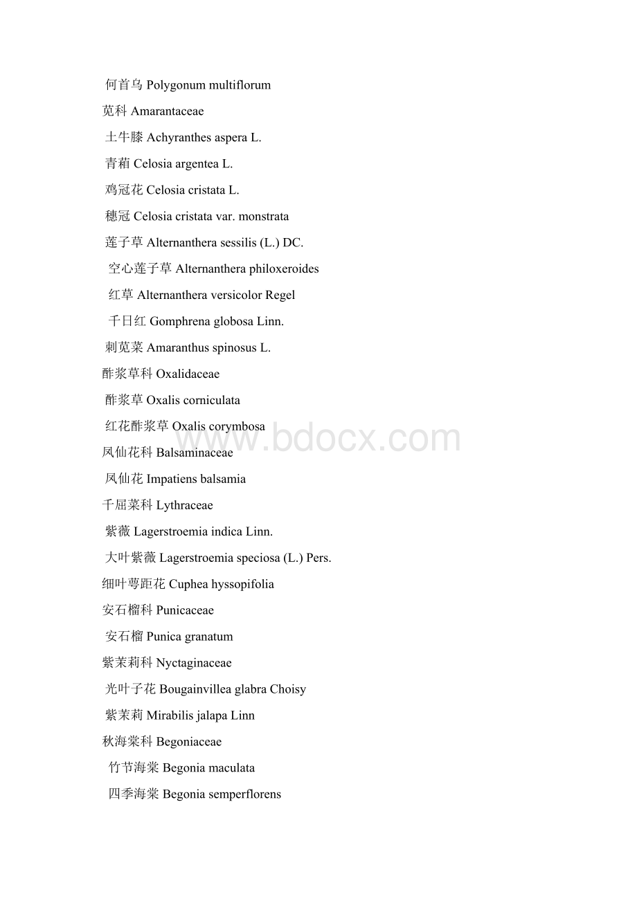 植物挂牌收集到的植物名录Word下载.docx_第3页