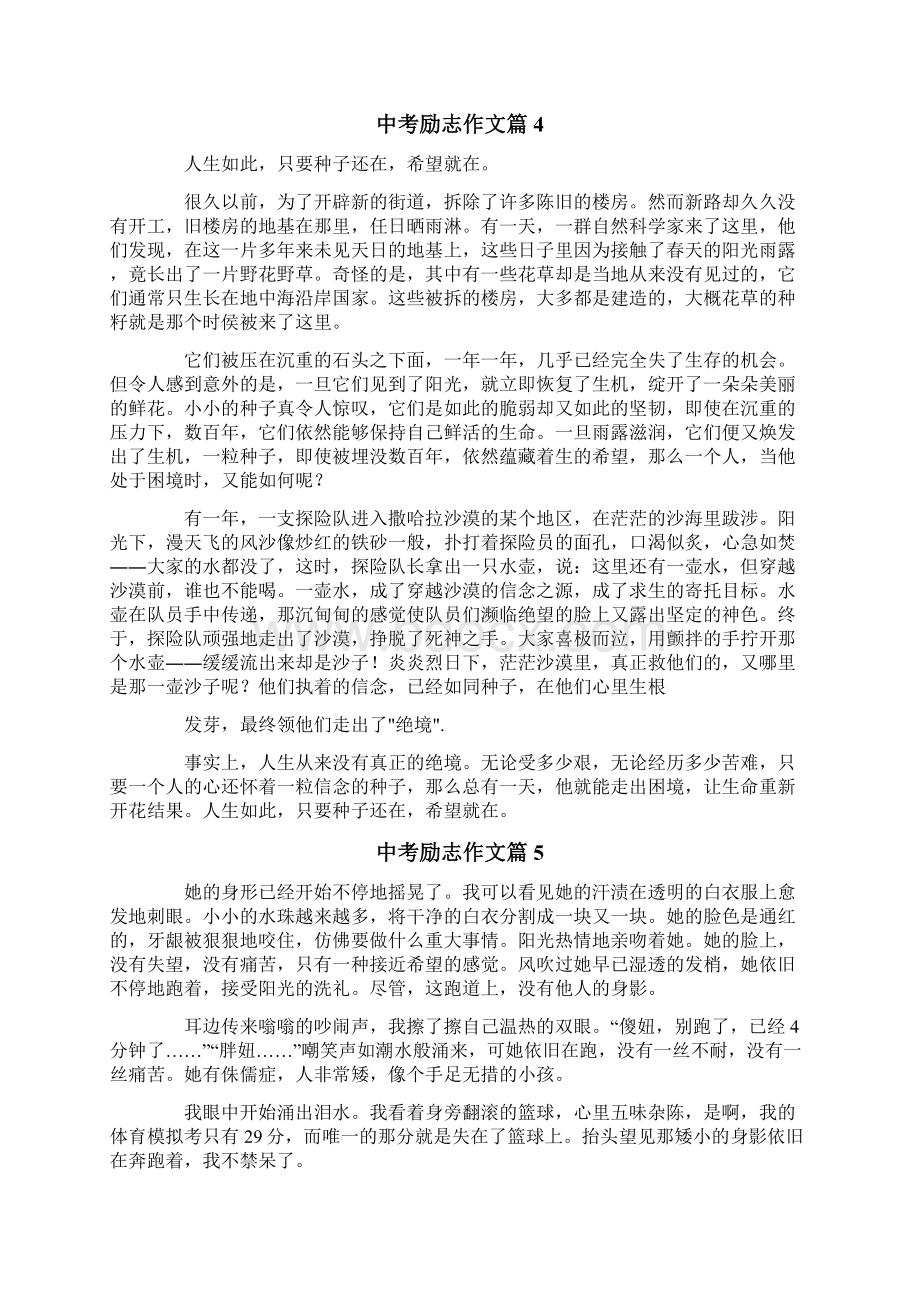 有关中考励志作文集锦10篇Word文档格式.docx_第3页