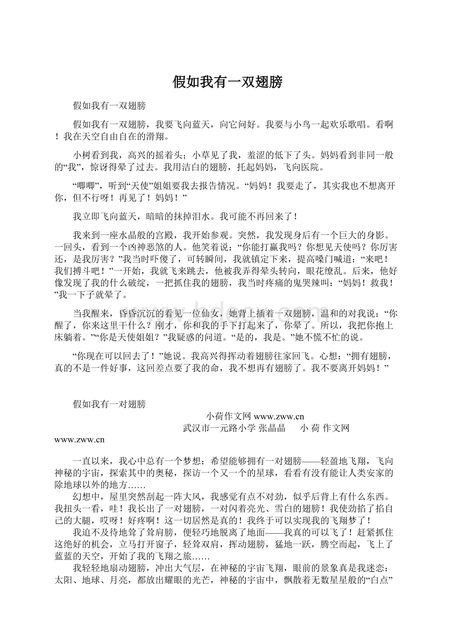 假如我有一双翅膀文档格式.docx_第1页