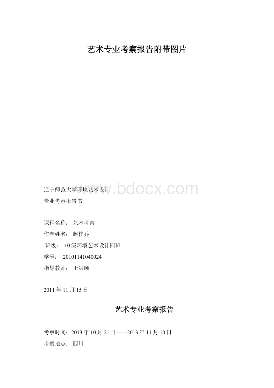 艺术专业考察报告附带图片.docx