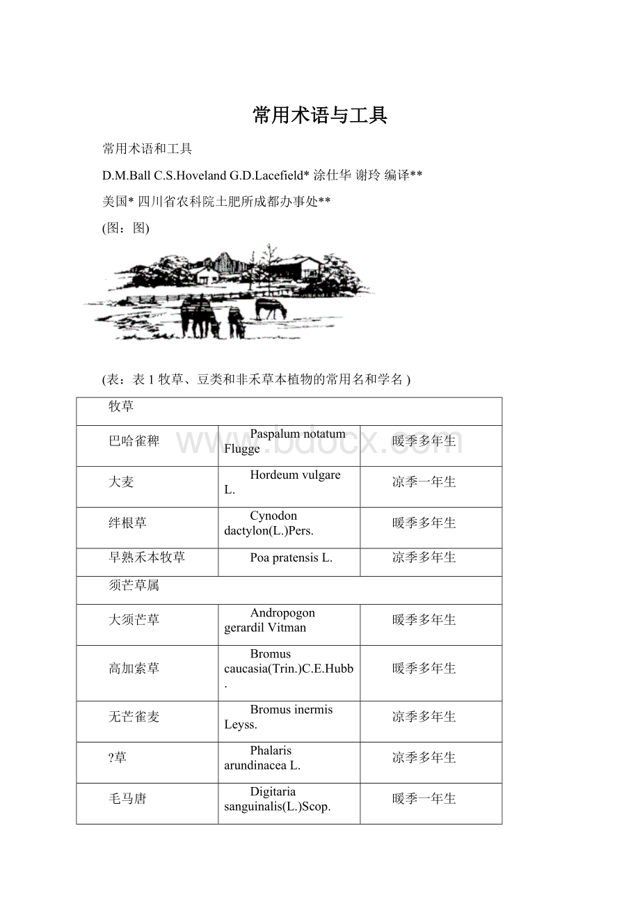 常用术语与工具.docx_第1页