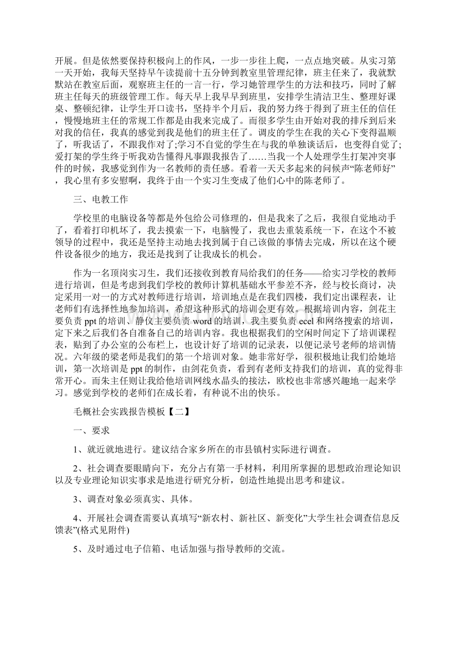 毛概社会实践报告模板三篇.docx_第2页