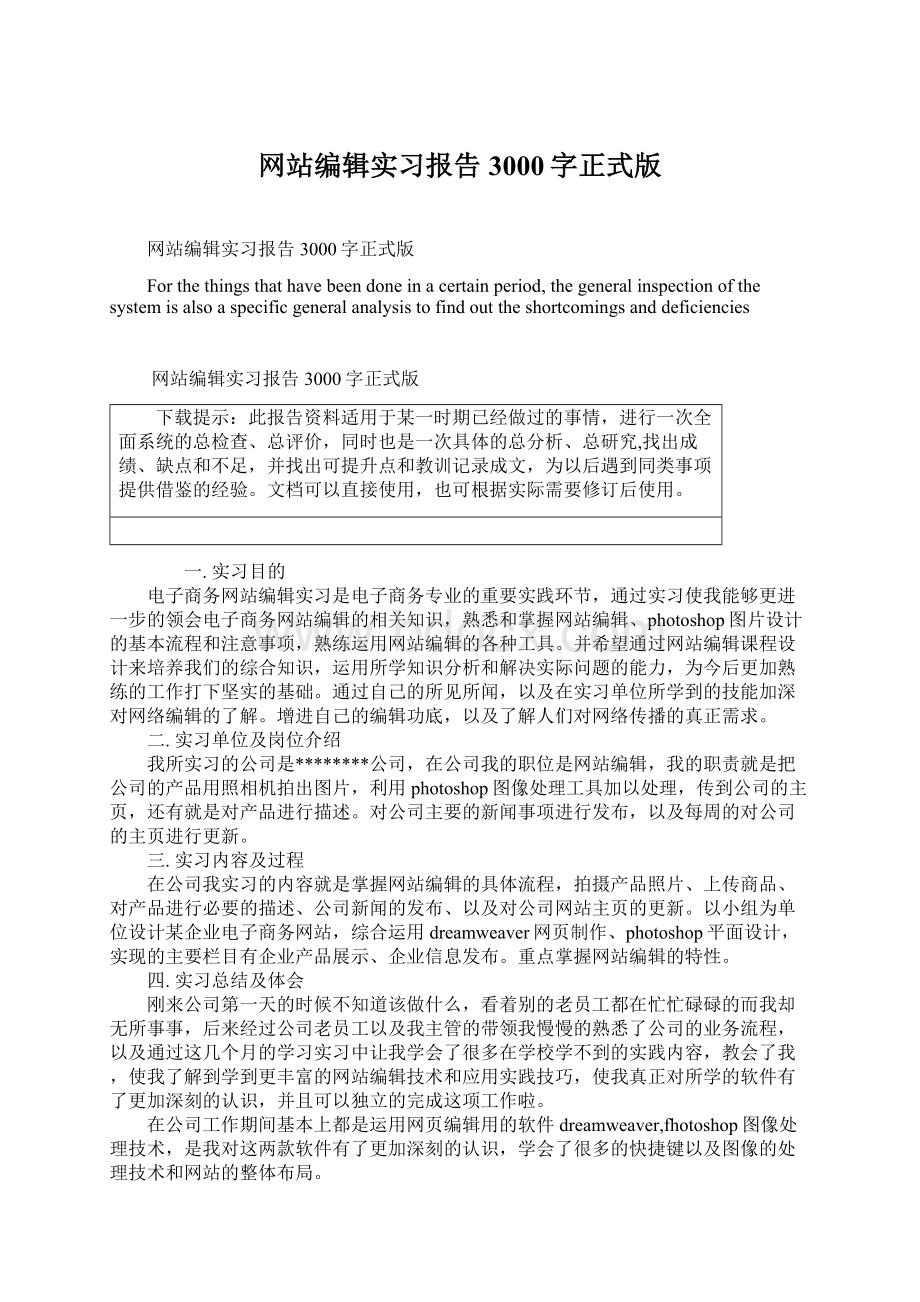 网站编辑实习报告3000字正式版.docx