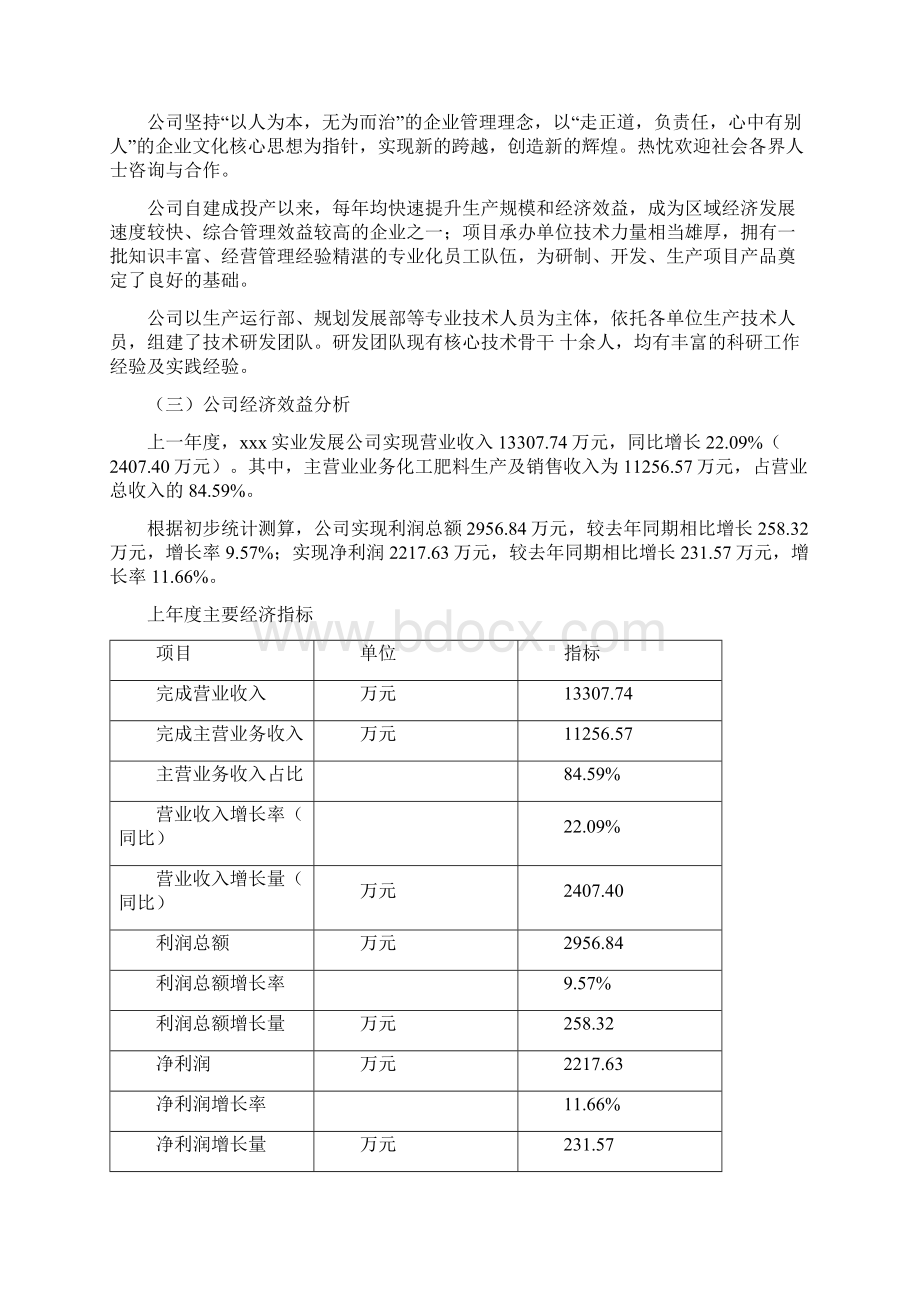 化工肥料项目可行性研究报告Word格式.docx_第2页