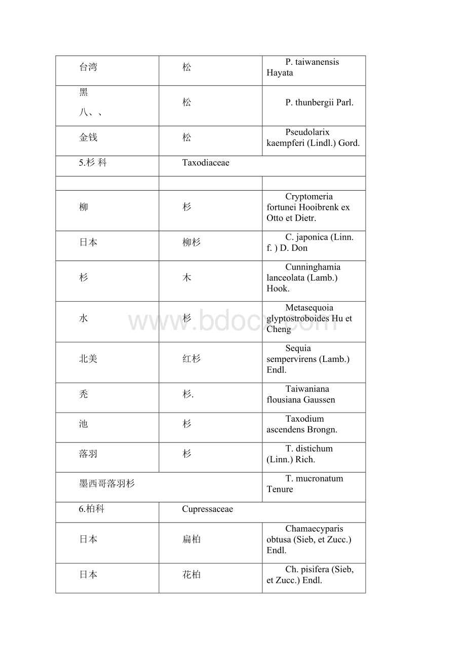 植物拉丁名.docx_第2页