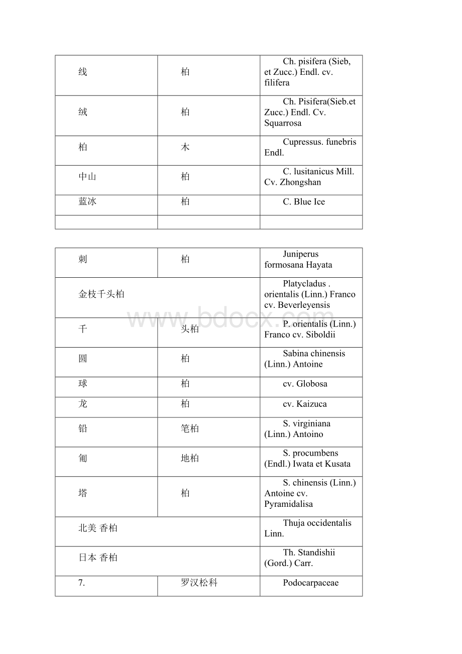 植物拉丁名.docx_第3页