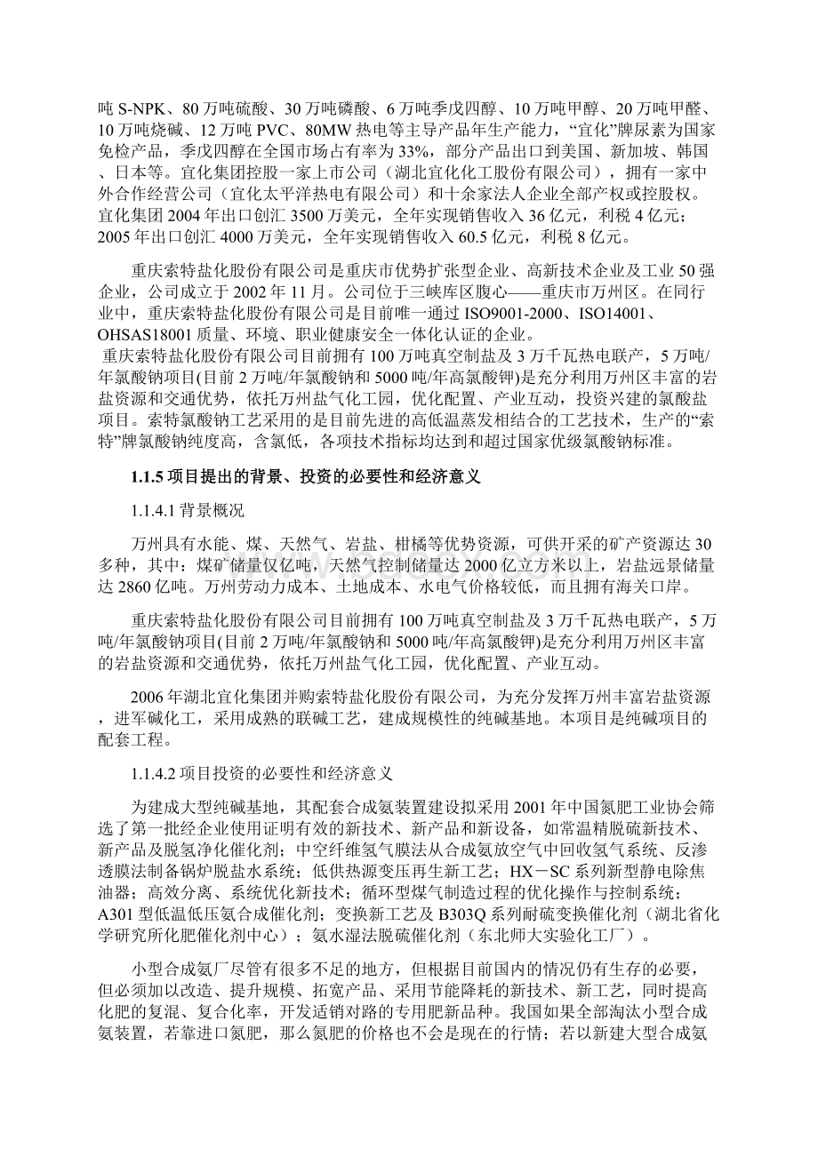 20万吨合成氨扩建项目可行性研究报告.docx_第3页