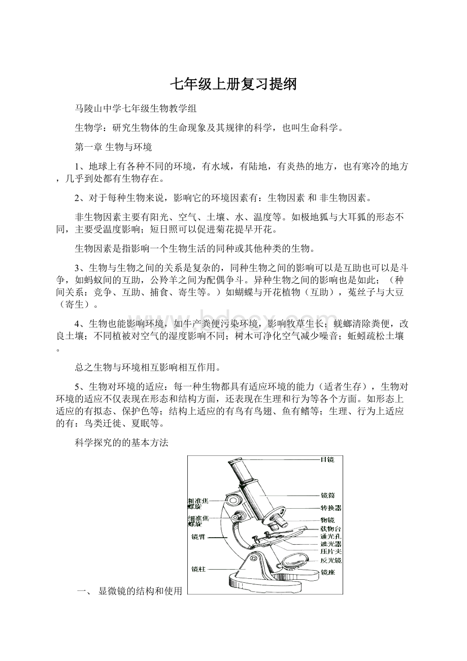 七年级上册复习提纲.docx_第1页