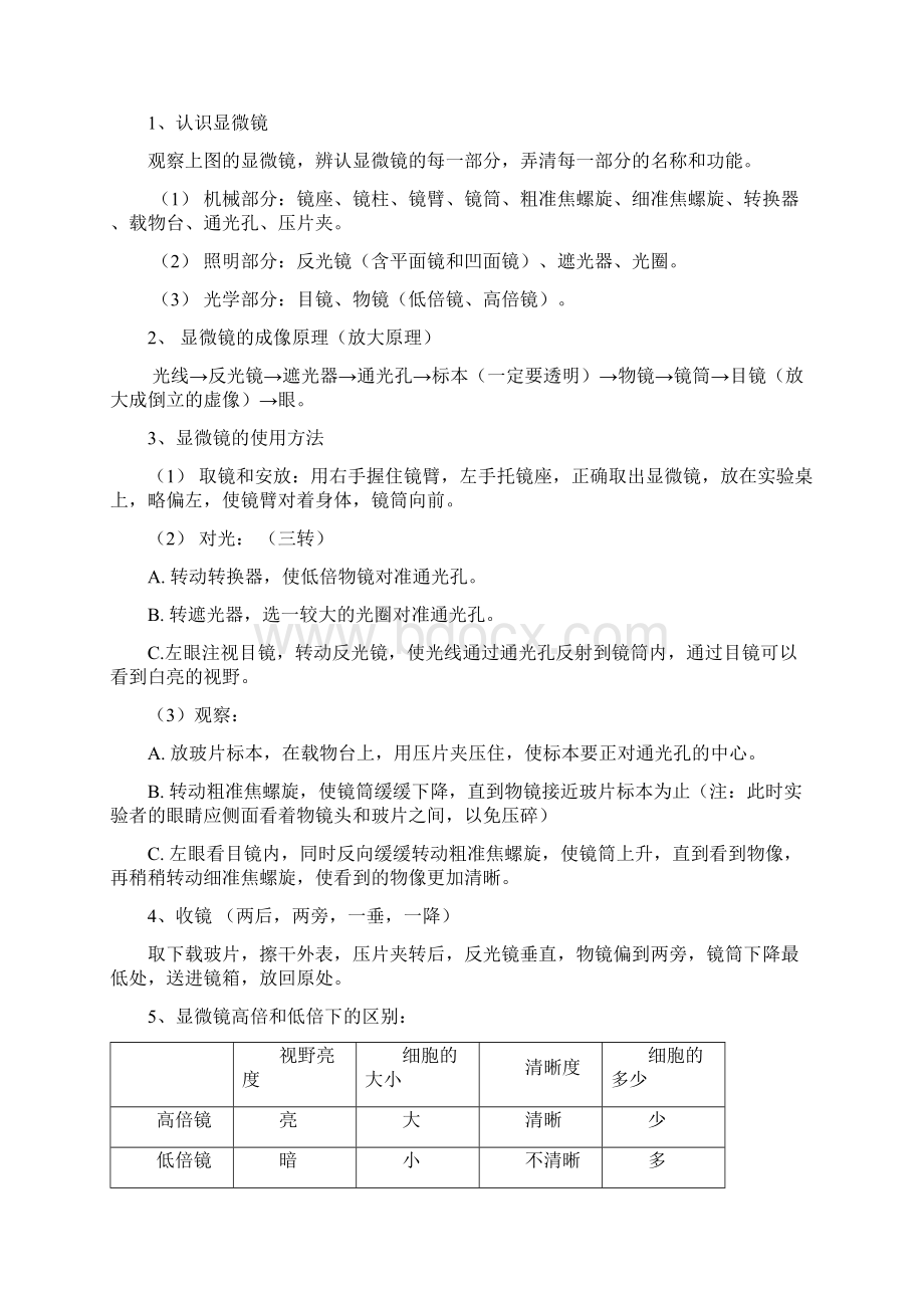 七年级上册复习提纲.docx_第2页