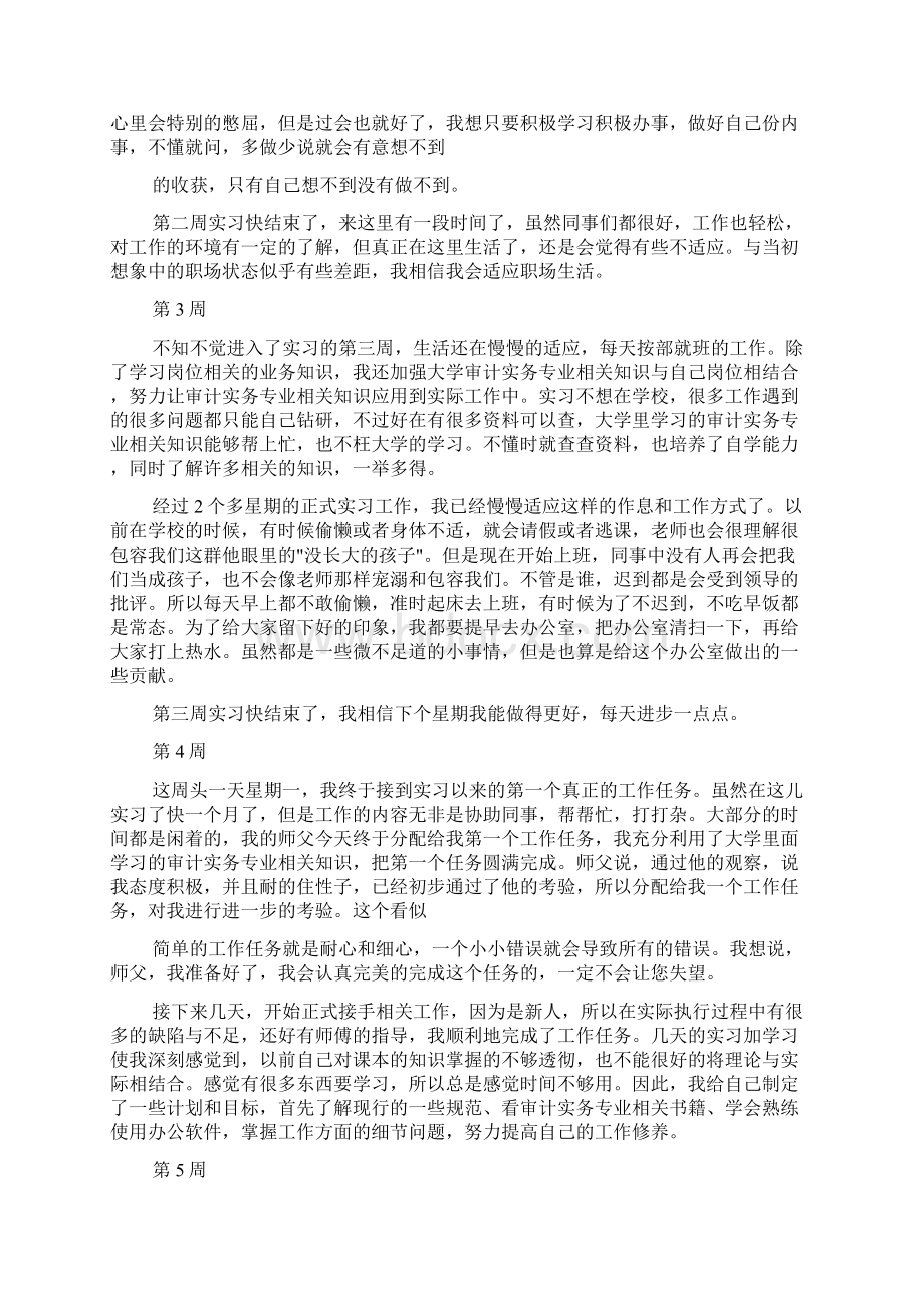 内部审计实习周记Word文档下载推荐.docx_第2页