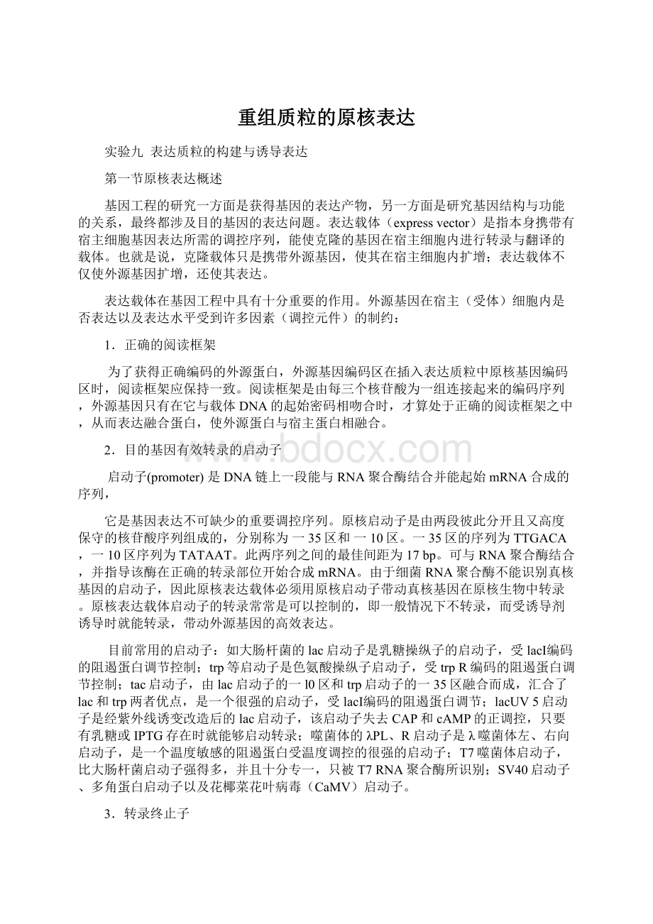 重组质粒的原核表达.docx_第1页