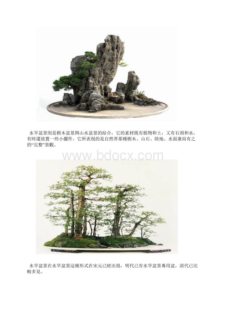 盆景制作方法.docx_第2页