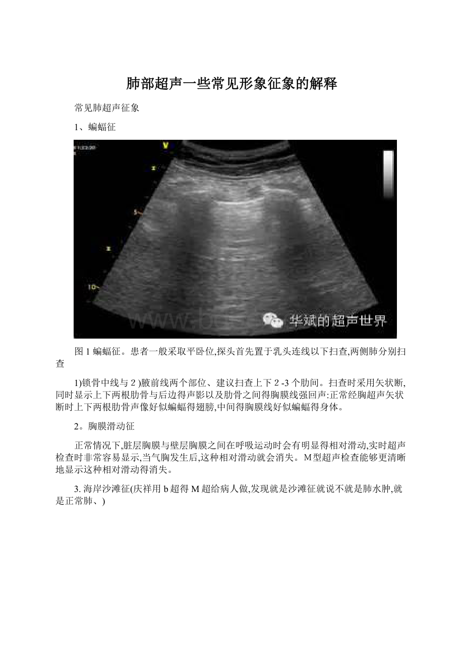 肺部超声一些常见形象征象的解释Word格式.docx_第1页