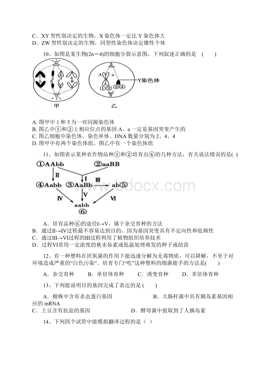 首发湖北省孝感市七校教学联盟学年高一下学期期末考试生物试题文档格式.docx_第3页