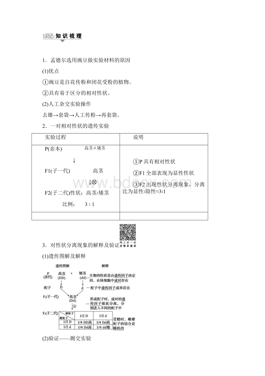 1718版 必修2 第5单元 第1讲 孟德尔的豌豆杂交实验一.docx_第2页