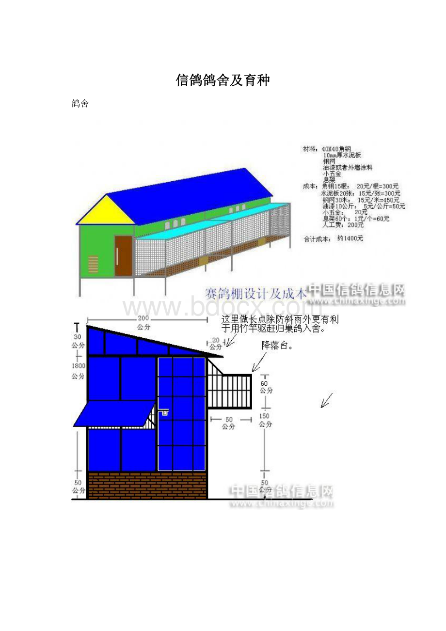 信鸽鸽舍及育种Word文档格式.docx