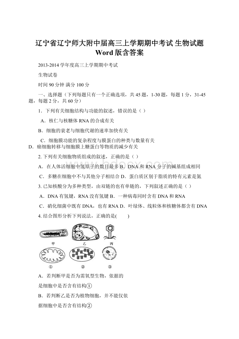 辽宁省辽宁师大附中届高三上学期期中考试 生物试题 Word版含答案.docx