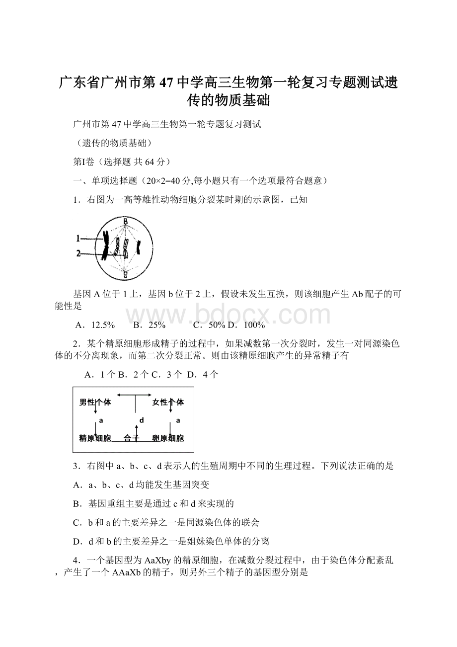 广东省广州市第47中学高三生物第一轮复习专题测试遗传的物质基础.docx