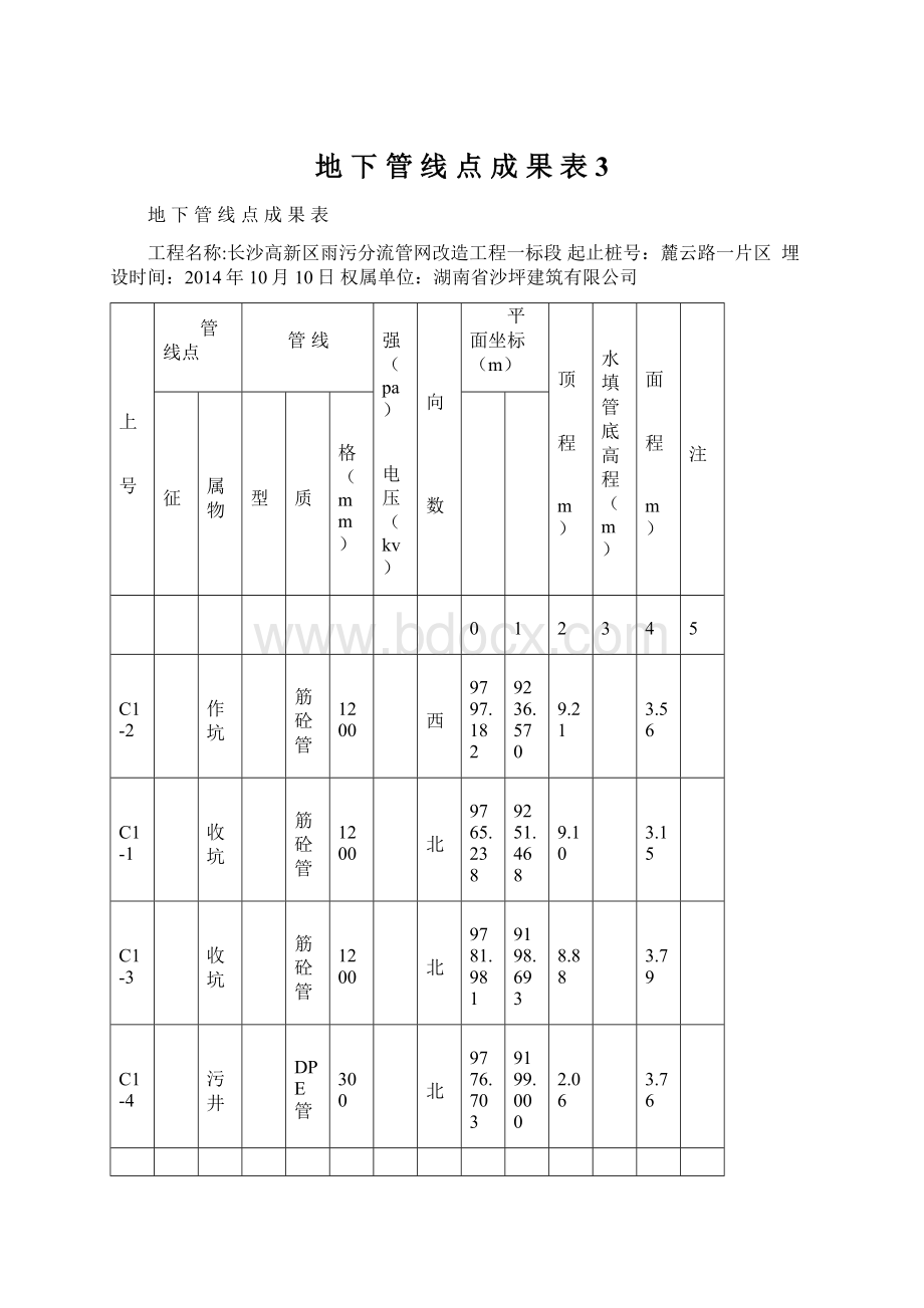 地 下 管 线 点 成 果 表3.docx