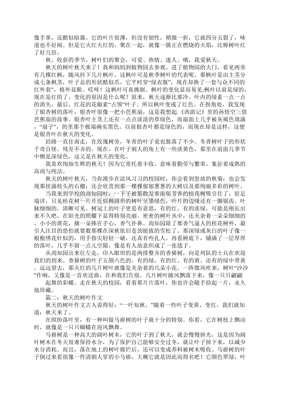 秋天的树叶作文500字.docx_第2页