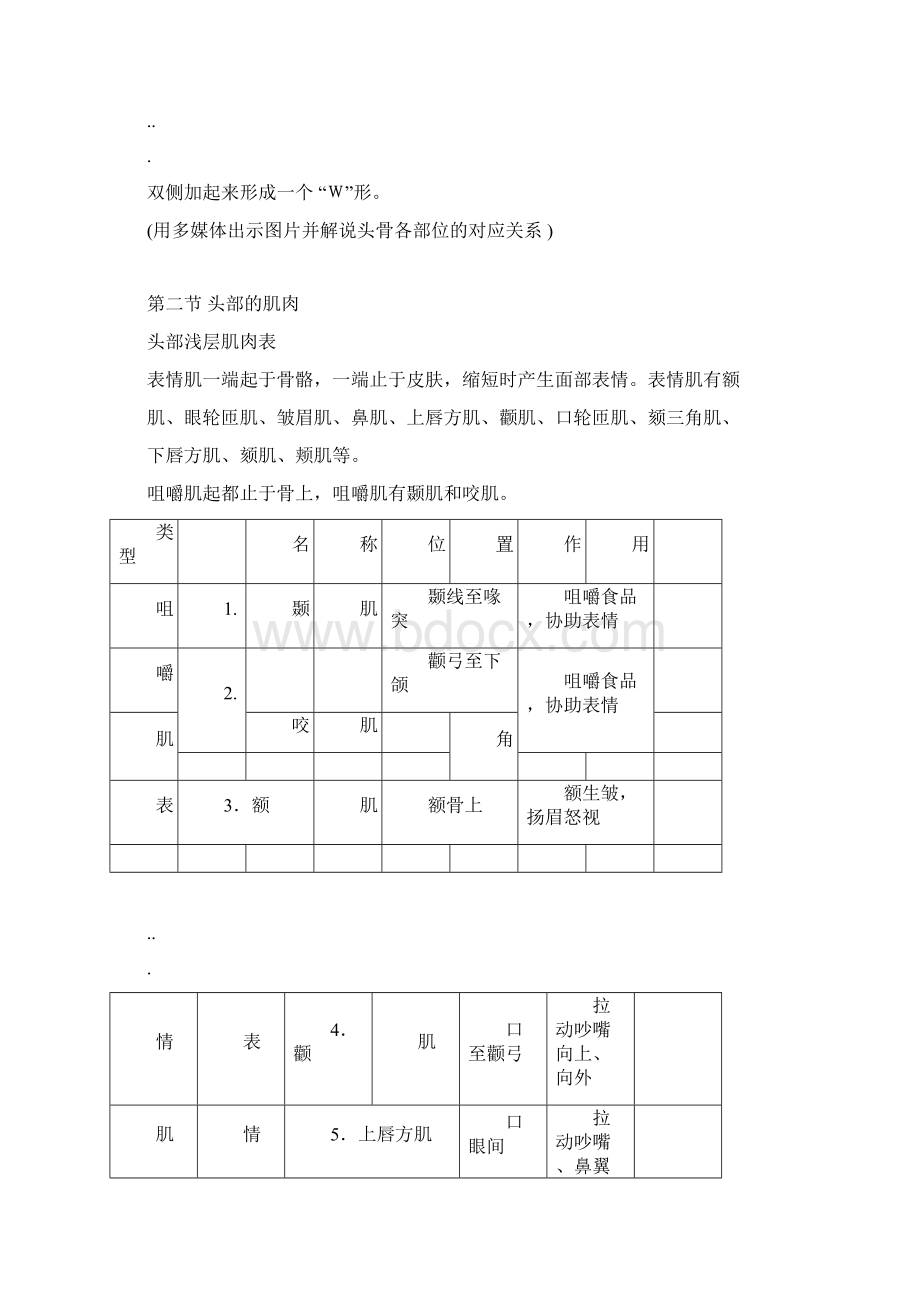 头部解剖结构及形体结构.docx_第3页