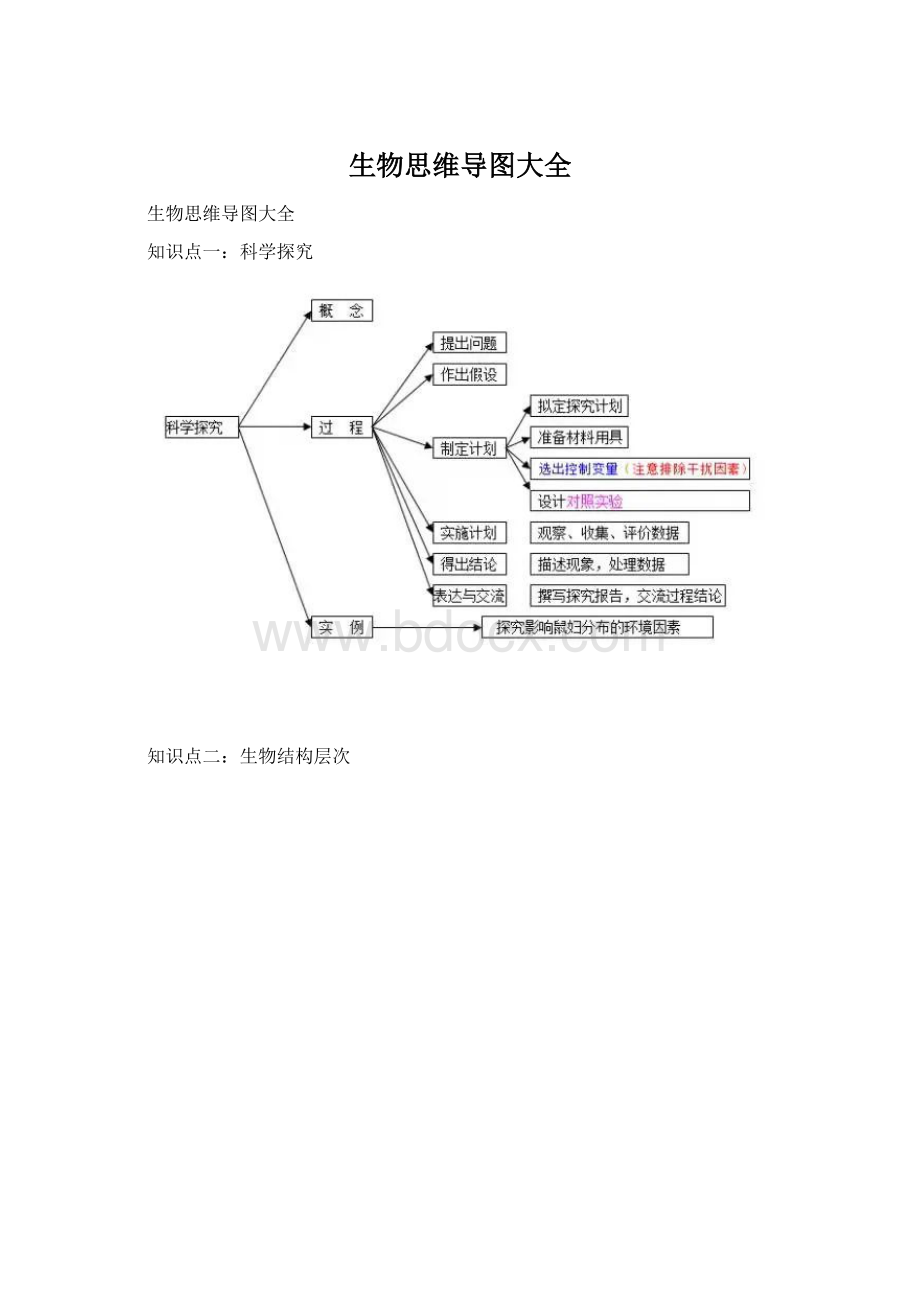 生物思维导图大全.docx