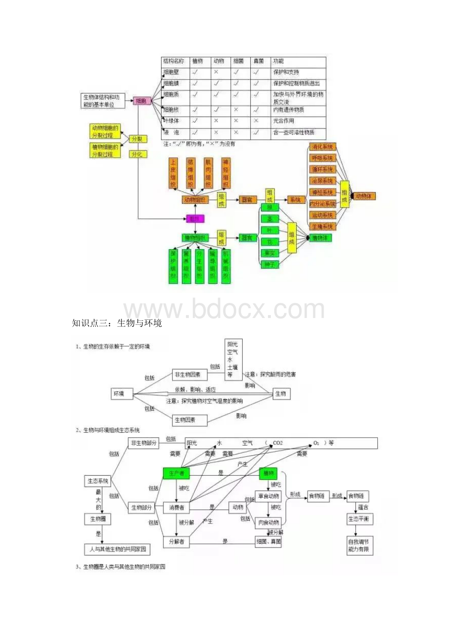 生物思维导图大全.docx_第2页