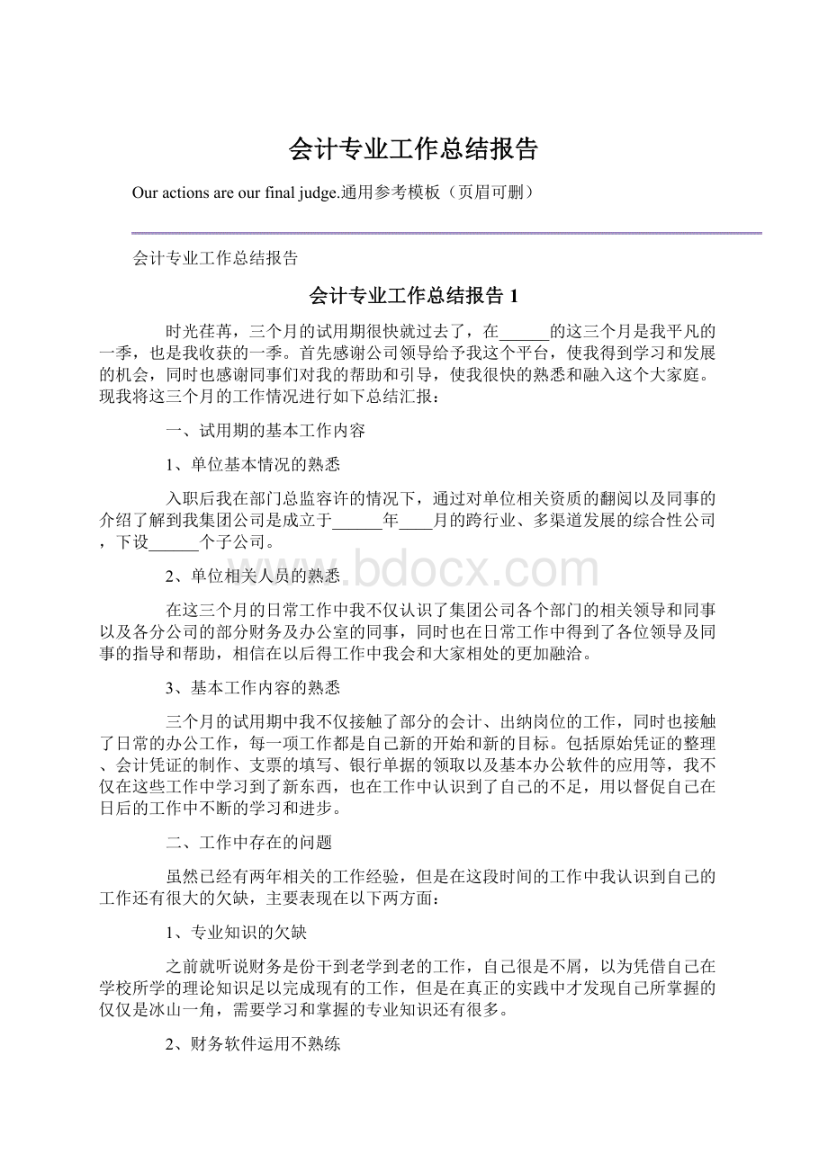 会计专业工作总结报告文档格式.docx_第1页