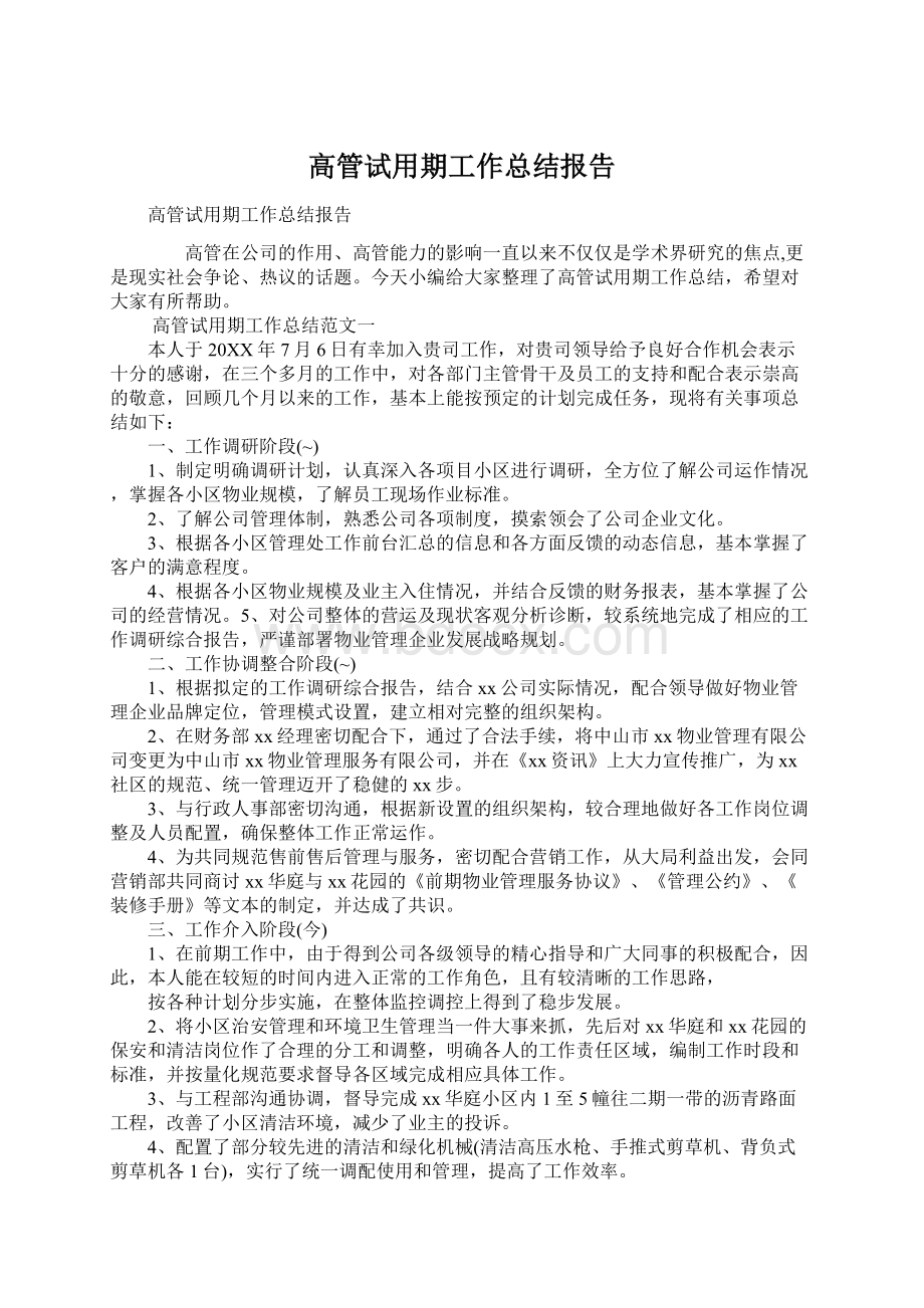 高管试用期工作总结报告Word格式.docx_第1页