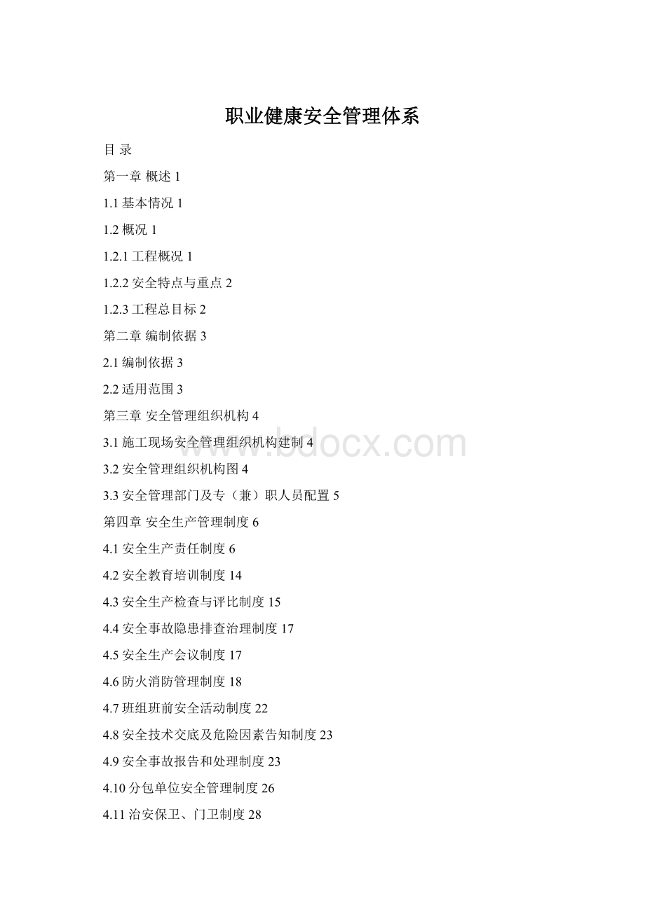 职业健康安全管理体系Word文档格式.docx